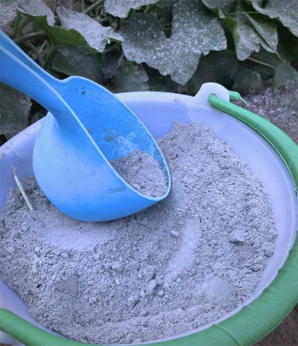 壁爐爐灰的用處.png 壁爐爐灰的用處.png